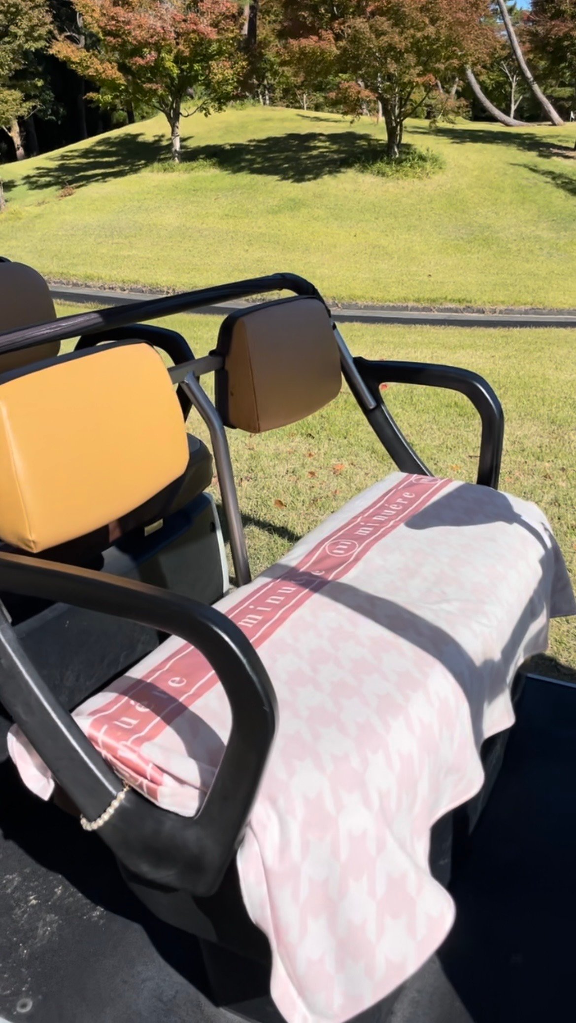 ミヌエール（minuere）/ribbon cart towel ribbon cart towel | ミヌエール（minuére）