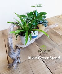 ROOM'Z TheGarden　流木のGreenStand①