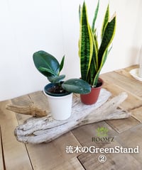ROOM'Z TheGarden　流木のGreenStand②
