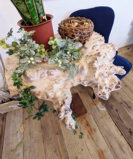 ポプラとアンティーク脚　Display table