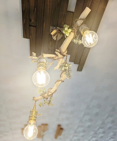 限定1台！根流木Pendantlight3灯　HANA