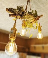 限定1台！　流木のPendantlight3灯　HARU