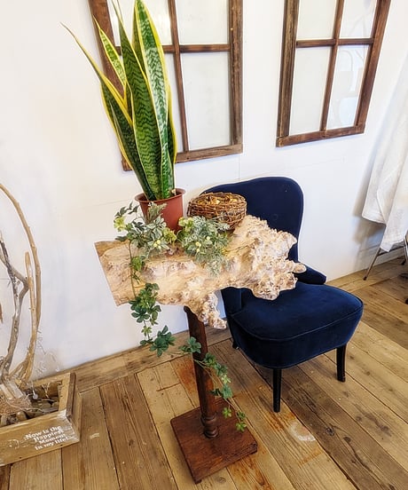ポプラとアンティーク脚　Display table