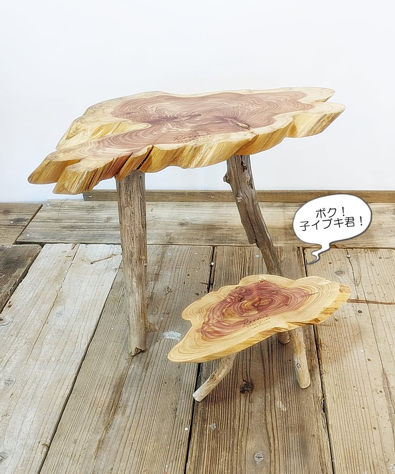 カイズカイブキ 流木脚 SideTable 子イブキ君Set！A | RoomZ interior