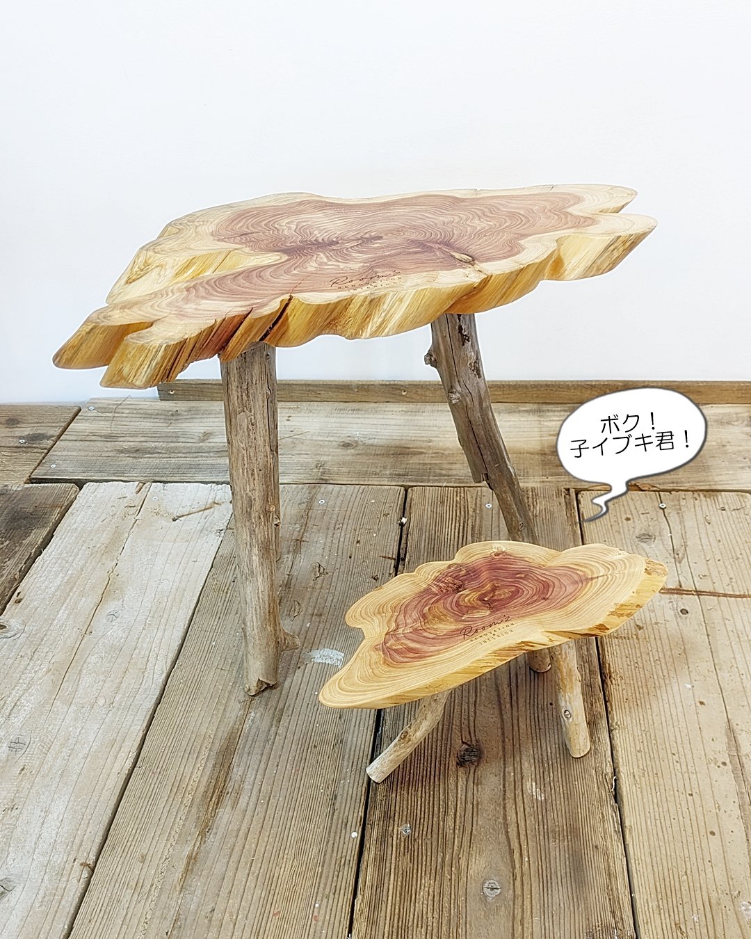 カイズカイブキ 流木脚 SideTable 子イブキ君Set！A | RoomZ interior