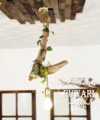 流木のペンダントライト1灯　FUWARI