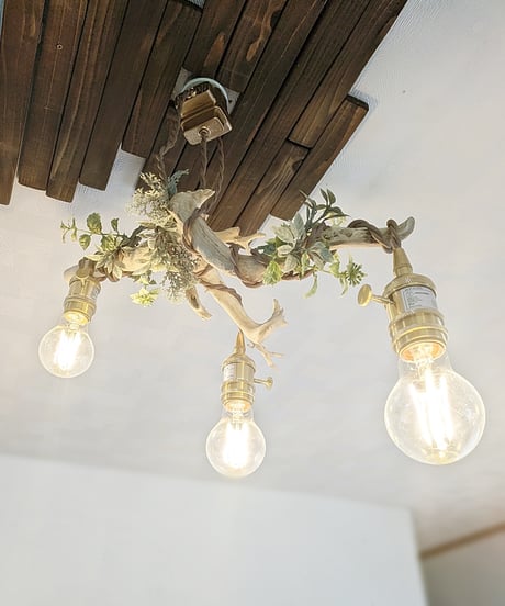 限定1台！根流木Pendantlight3灯　HANA