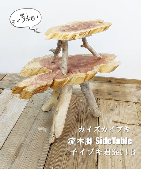 カイズカイブキ　流木脚SideTable　子イブキ君Set！B