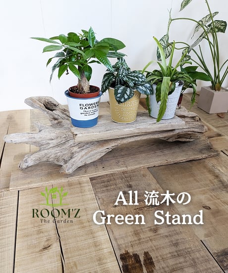 ROOM'Z TheGarden　流木のGreenStand③