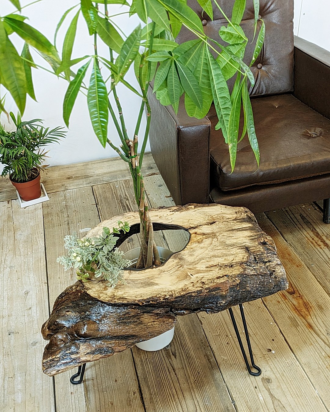 穴あき柿1枚板 Café Table | RoomZ interior