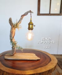 NatureArt 流木のスタンドライト RSL4 | RoomZ interior