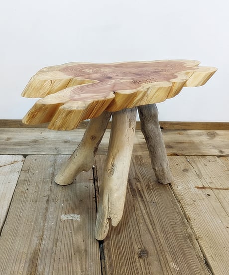 カイズカイブキ　流木脚SideTable　子イブキ君Set！B