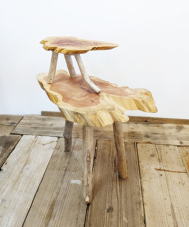 カイズカイブキ 流木脚 SideTable 子イブキ君Set！A | RoomZ interior