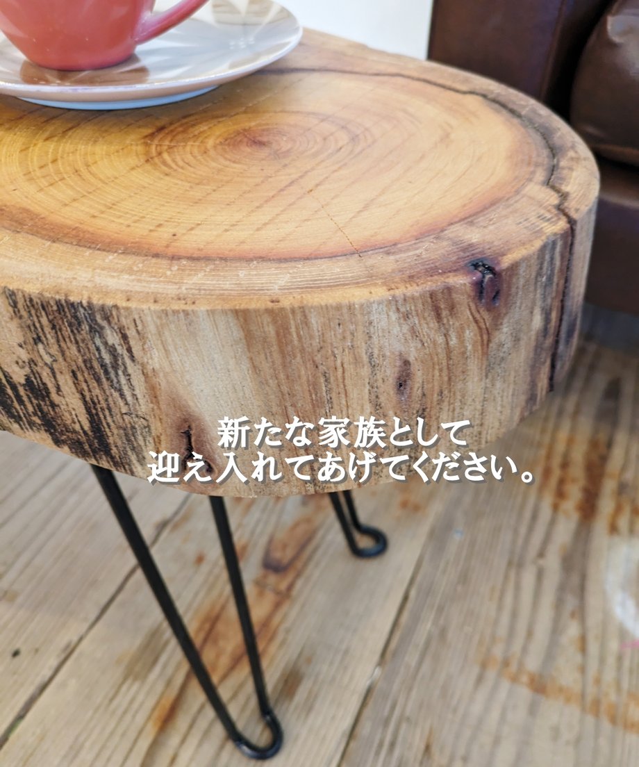 65e44d30471cb3239c8f9bac