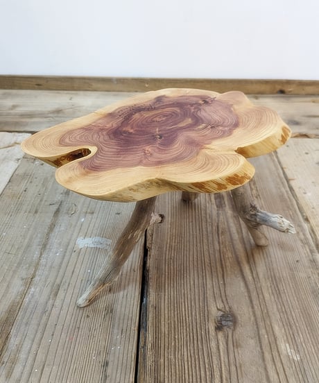 カイズカイブキ　流木脚SideTable　子イブキ君Set！B