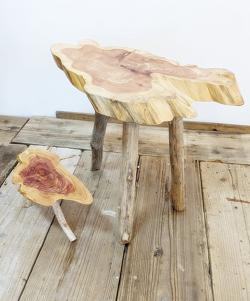 カイズカイブキ 流木脚 SideTable 子イブキ君Set！A | RoomZ interior