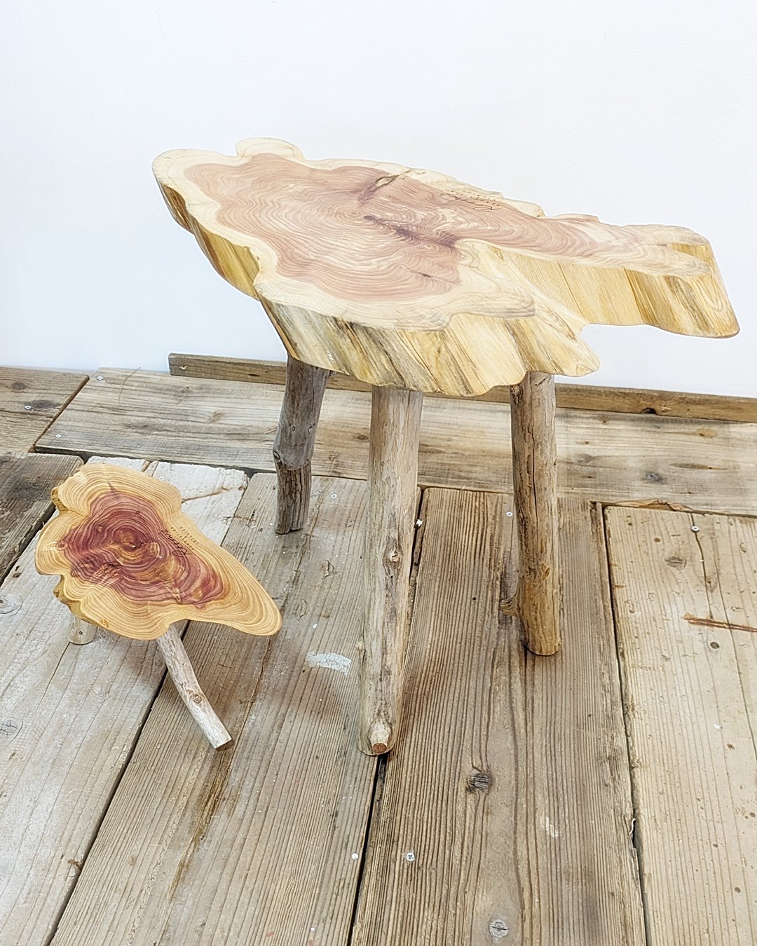 カイズカイブキ 流木脚 SideTable 子イブキ君Set！A | RoomZ interior