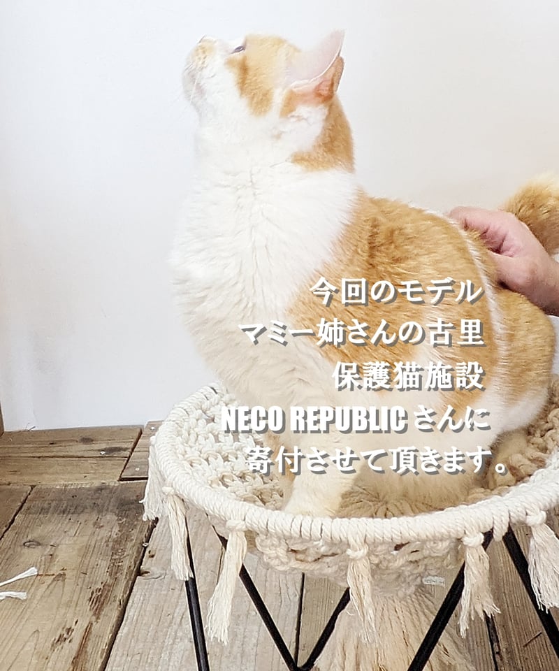 マクラメ編みとアイアンの 猫ハンモック | RoomZ interior