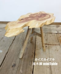 カイズカイブキ　流木脚　miniTable