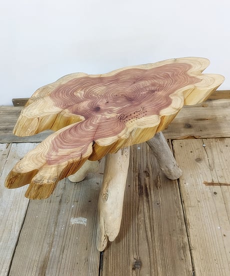 カイズカイブキ　流木脚SideTable　子イブキ君Set！B