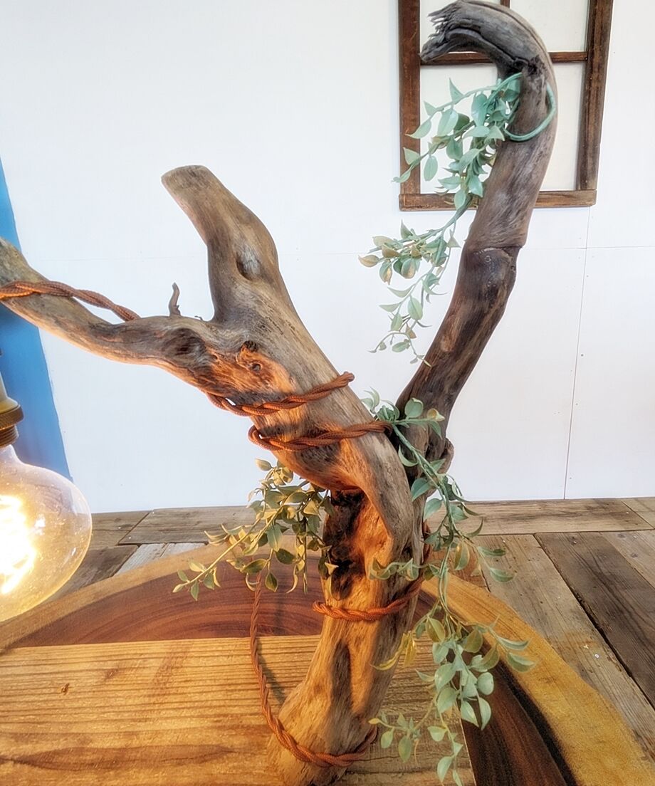 流木スタンドライト　価格相談対応します！！ NatureArt 流木のスタンドライト | RoomZ interior
