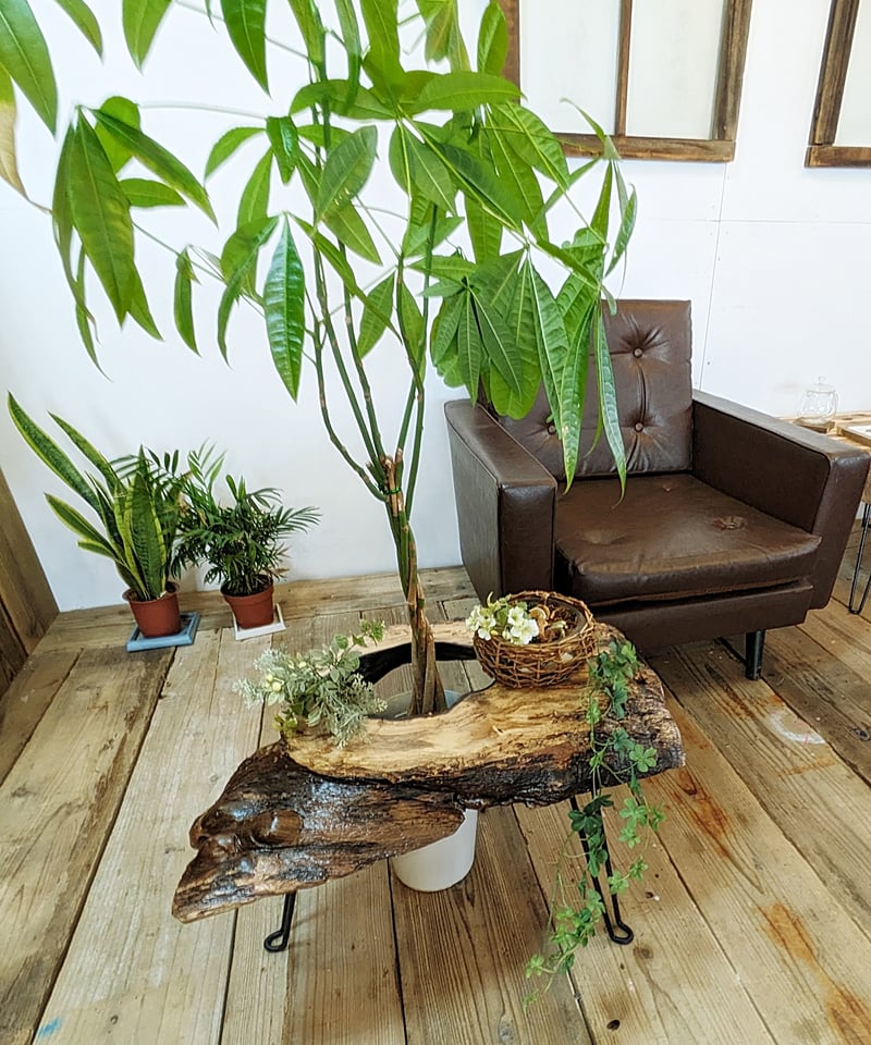 穴あき柿1枚板 Café Table | RoomZ interior