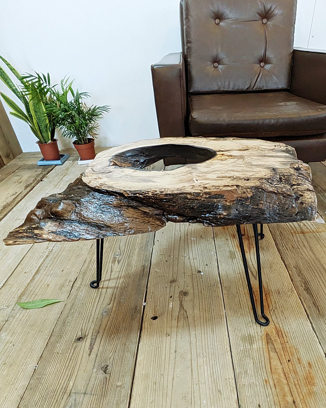柿の木の一枚板 穴あき柿1枚板 Café Table | RoomZ interior