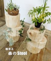 檜香る　森のStool　MSize／LSize