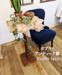 ポプラとアンティーク脚　Display table