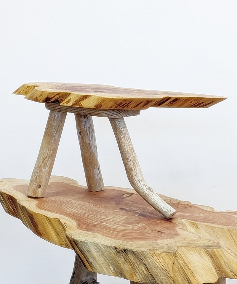 カイズカイブキ 流木脚 SideTable 子イブキ君Set！A | RoomZ interior