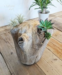 Nature Art　流木フラワーポッド