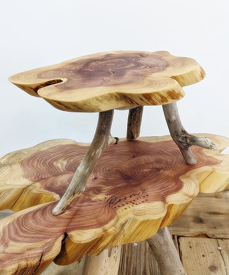 カイズカイブキ　流木脚SideTable　子イブキ君Set！B