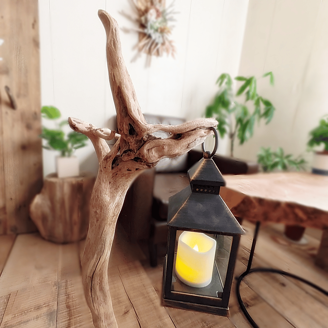 流木Standlight MIKO | RoomZ interior