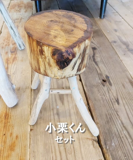 栗の輪切りと流木脚スツール　と小栗くんセット