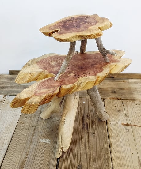 カイズカイブキ　流木脚SideTable　子イブキ君Set！B