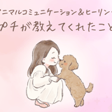 アニマルコミュニケーション＆ヒーリング『プチが教えてくれたこと』