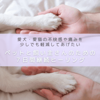 ペットと飼い主さんのための7日間継続ヒーリング