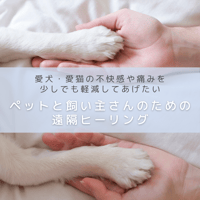 ペットと飼い主さんのための遠隔ヒーリング30分