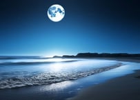 ヨルソラ　ブレンド