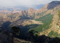 エチオピア　ゲルシ　ナチュラル