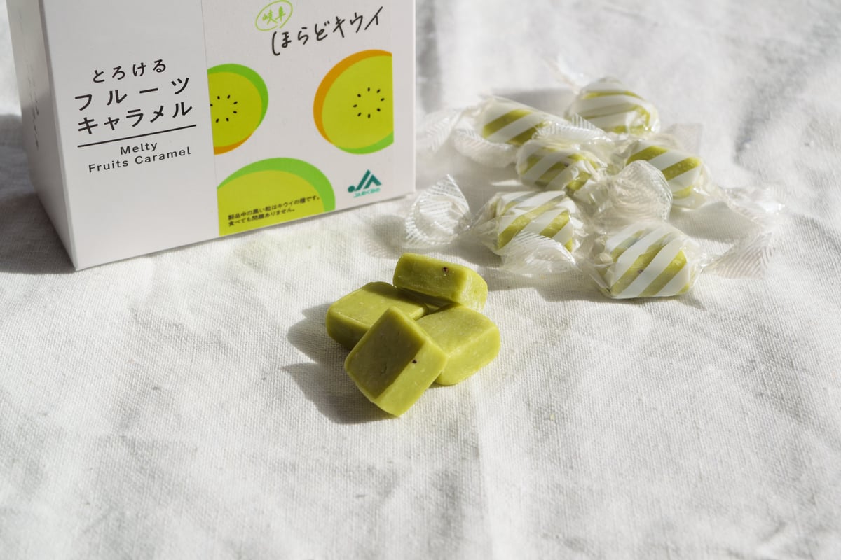とろけるフルーツキャラメル 岐阜ほらどキウイ | ナニワのソフトこんぶ