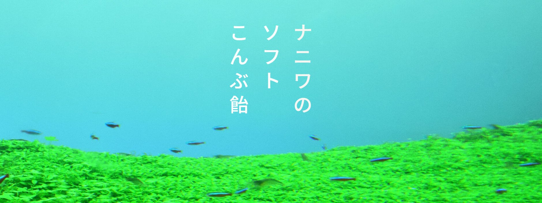 ナニワのソフトこんぶ飴 - オンラインショップ