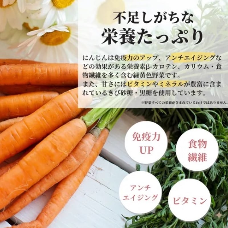 THIS IS SALAD 持ち運びサラダシリーズ にんじんの板グラノーラ