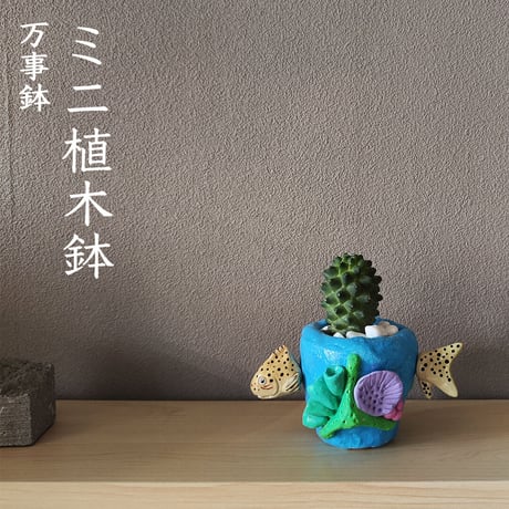 オーシャンシリーズ★蝶々胡椒鯛★星野万事鉢 手作り作品【注文後10日以内に出荷】