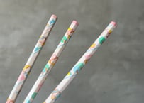Tombow Fancy Indian Pencil