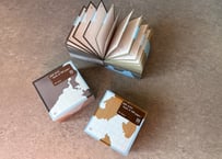 MEMO BLOCK "depth of 500 pages"