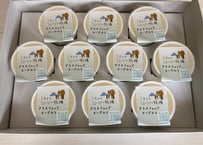 【ギフトボックス（送料込み）】プレーンヨーグルト（無糖）10個入り