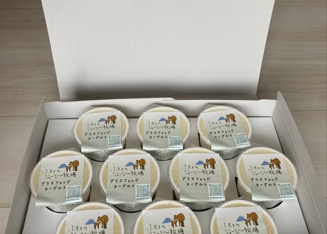 【ギフトボックス（送料込み）】プレーンヨーグルト（無糖）10個入り