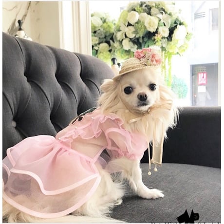 ドレスワンピース 犬 猫