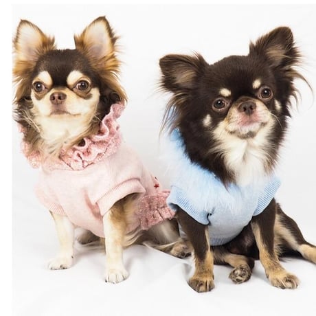 ファー＆フリルパーカー 犬 猫